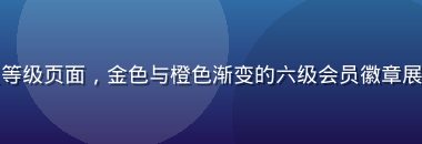 华体会网站VIP会员等级页面，金色与橙色渐变的六级会员徽章展示，高端会员权益清单